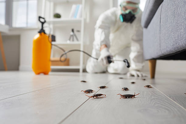 Commercial Kitchen Cockroach Control in Lookout Mountain